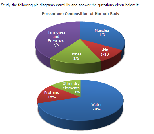 Pie Charts Questions and Answers